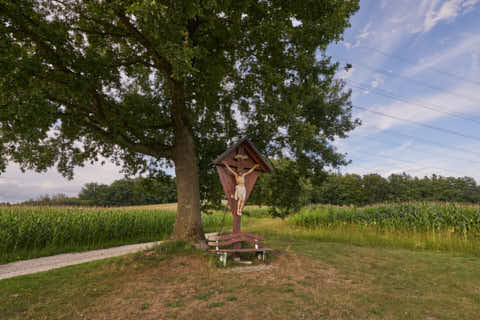 Gemeinde Simbach Landkreis Rottal-Inn Schellenberg Kreuz Baum (Dirschl Johann) Deutschland PAN